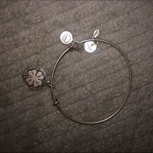 alex and ani bracelet